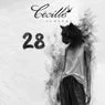 Cover Image for Maria Original Mix