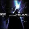 Cover Image for Schranz Resurrection Original Mix