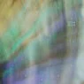 Cover Image for Selva Selva Original Mix