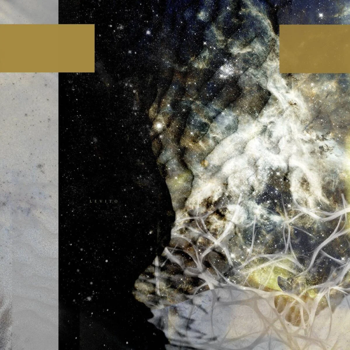 Cover Image: Crushted - Levito on EXP Records