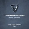 Cover Image for Trinidad Dreams Extended Mix