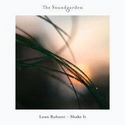Cover Image: Lean Robotti - Shake It on The Soundgarden