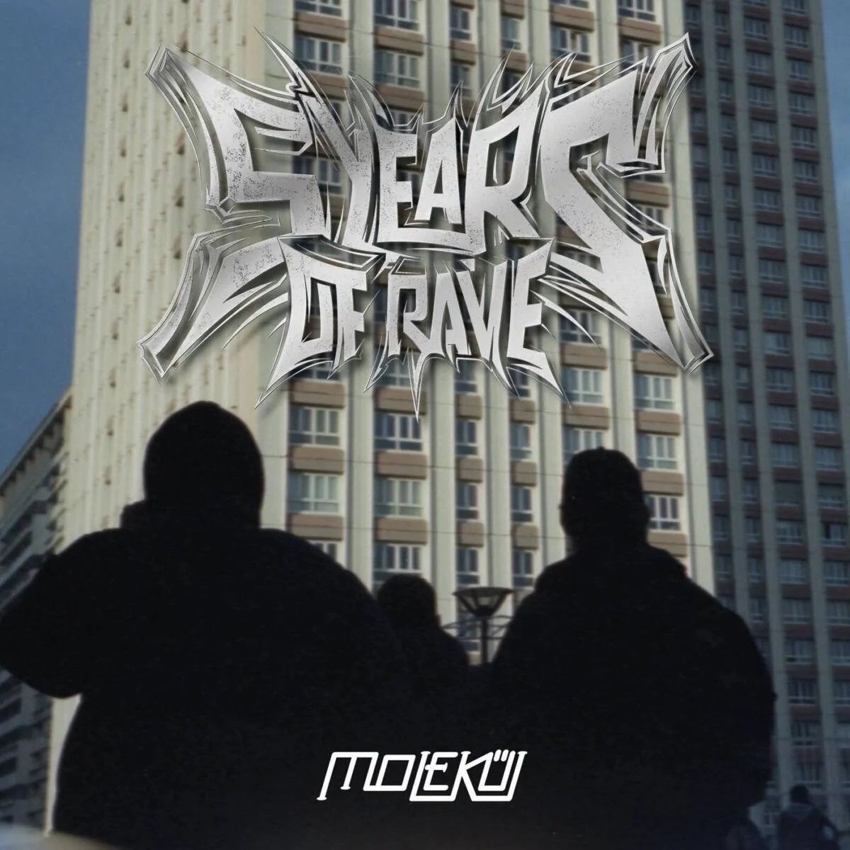 VA – 5 Years of Rave on Molekül