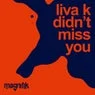Cover Image for Didn't Miss You Original Mix