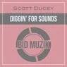 Cover Image for Diggin' For Sounds Original Mix