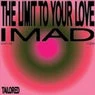 Cover Image for The Limit To Your Love Extended Mix