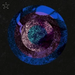 Cover Image: 01100110 - Stumbling Blocks of Humankind EP on FLASH Recordings