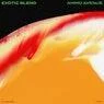 Cover Image for Exotic Blend Extended Mix