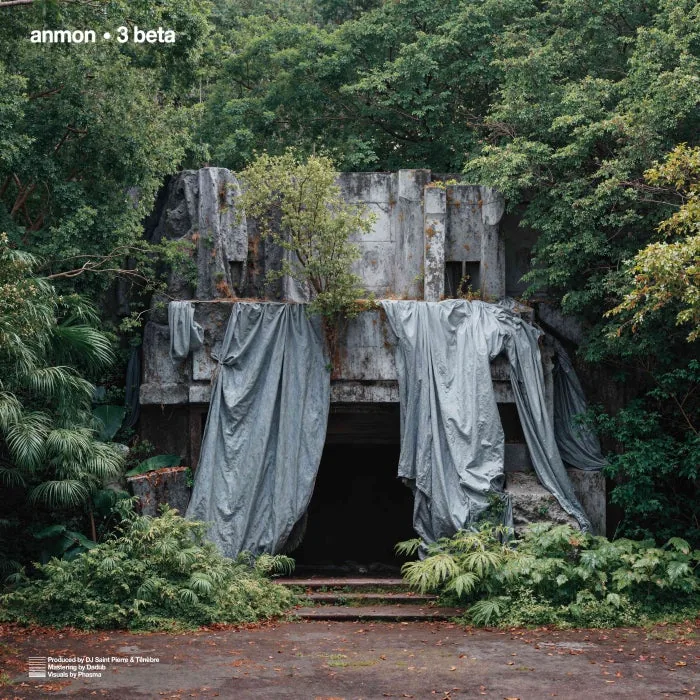 Anmon - Anmon - 3 Beta cover art