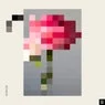 Cover Image for Paper Walls Original Mix