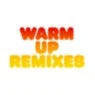Cover Image for Brass Band Maceo Plex Remix
