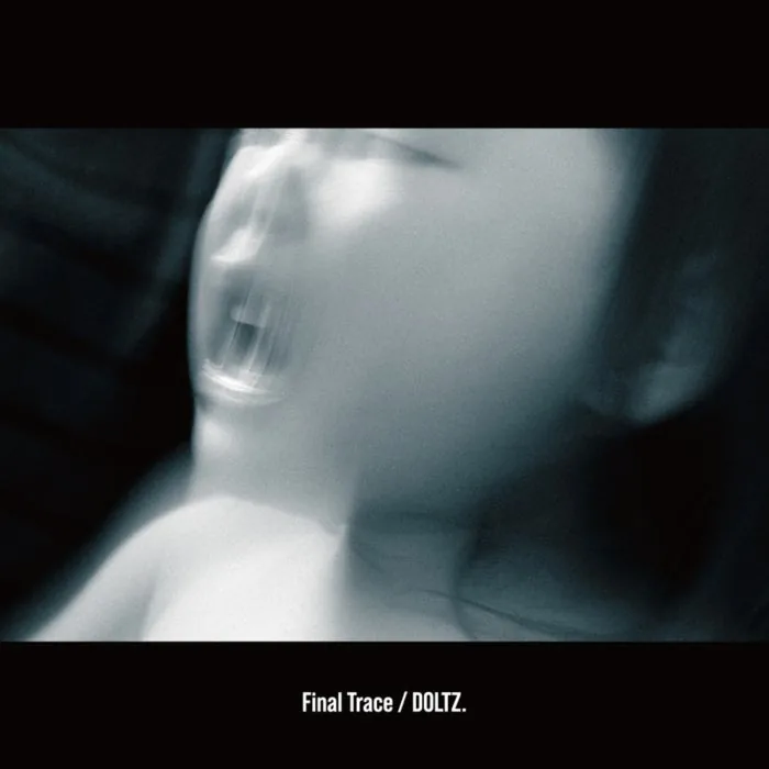 Doltz - Final Trace cover art