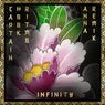 Cover Image for Infinity ANNA remix