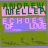 Cover Image for Echoes Of Love Original Mix
