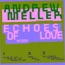 Cover Image for Echoes Of Love Original Mix
