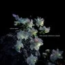 Cover Image for Late at Night Extended Mix