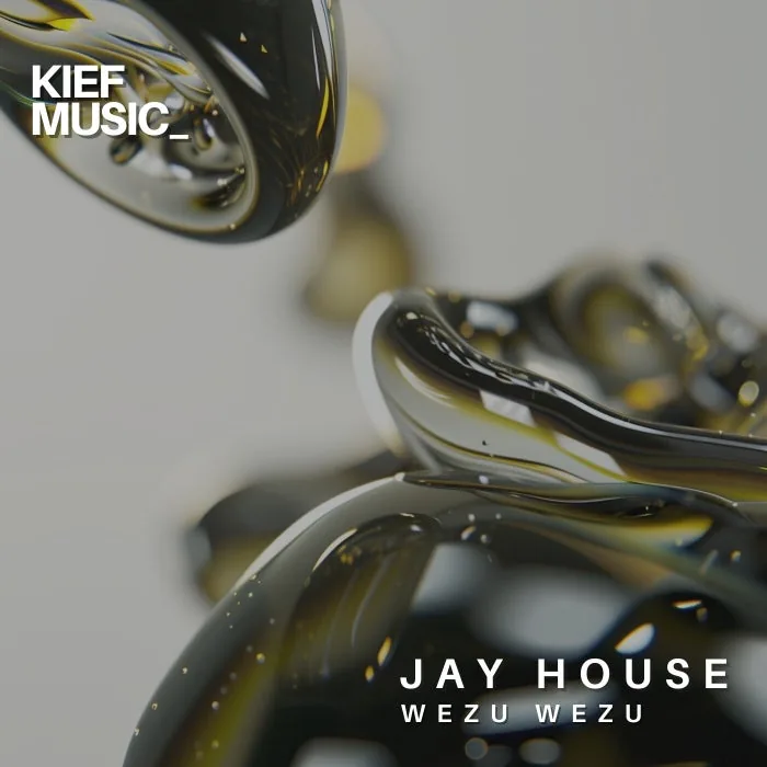 Jay House – Wezu wezu EP on Kief Music cover art