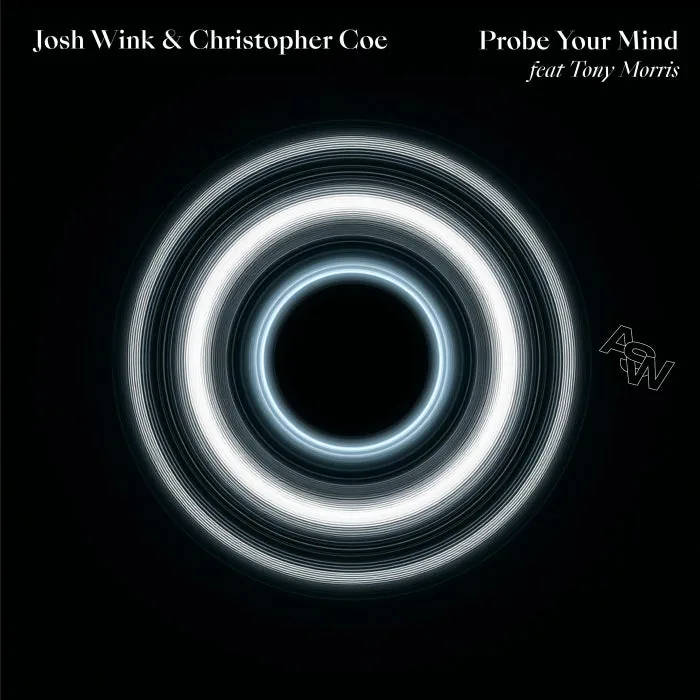Josh Wink, Christopher Coe, Tony Morris - Probe Your Mind cover art