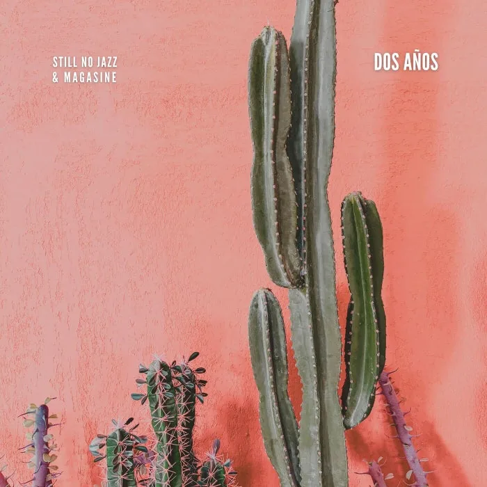 Magasine, Still No Jazz – Dos Años on SNJ Rec cover art