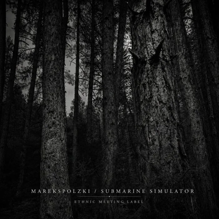 MarekSPolzki - Submarine Simulator cover art