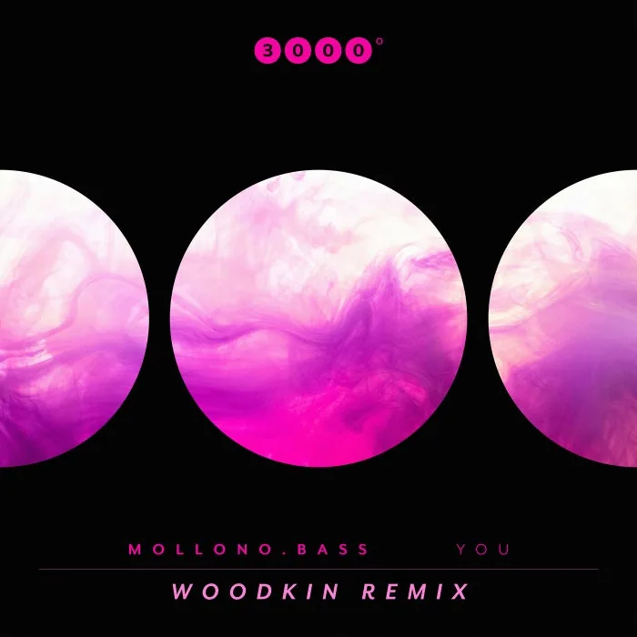 Mollono.Bass - You (Woodkin Remix) cover art
