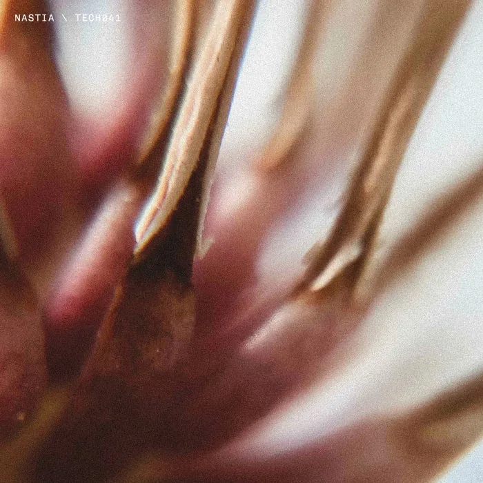 Nastia – TECH041 on TECHNO Records cover art