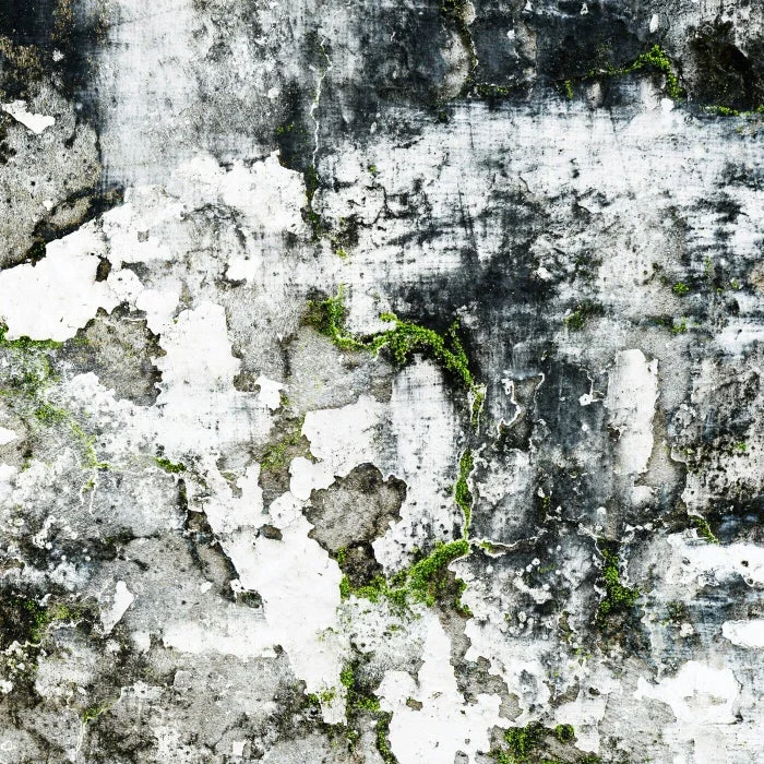 Sola Contagio - Gravitas Motus cover art