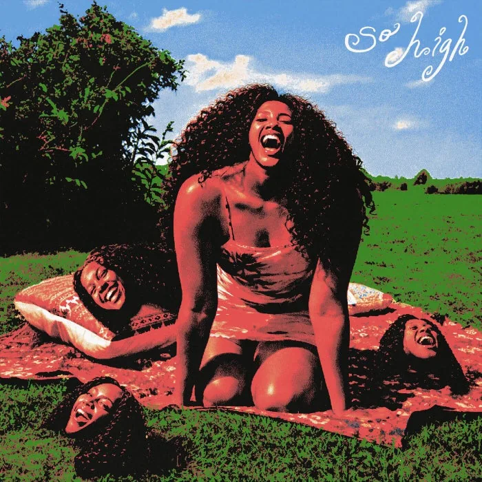 Soul Legend – so high (Extended Mix) on DistroKid cover art