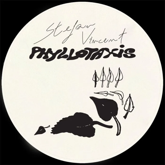 Stefan Vincent - Phyllotaxis cover art