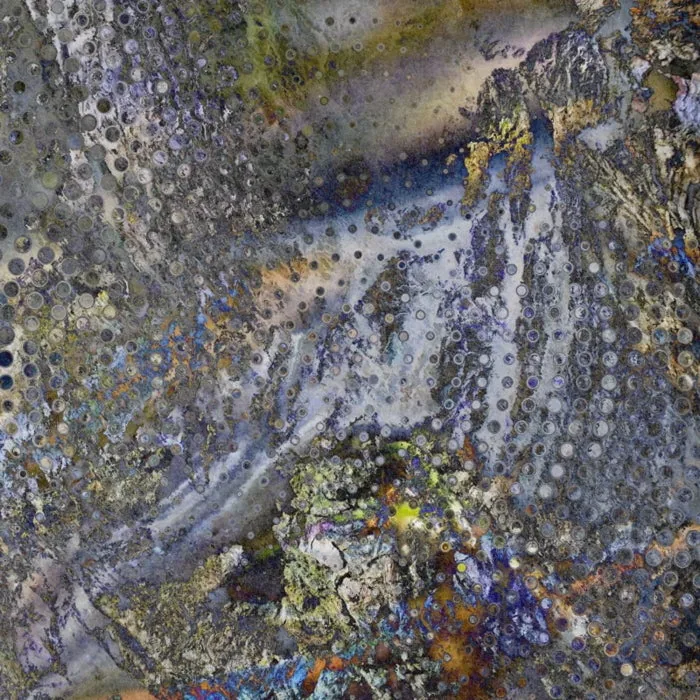 Stevie Cox, Ansboy - Alessia Transfixed in Motion cover art