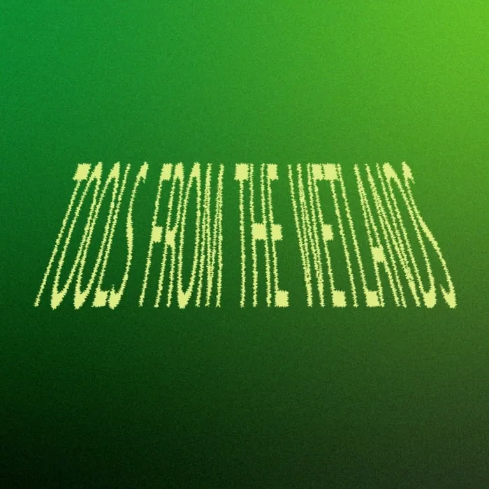 Vanity Project - Tools From The Wetlands cover art