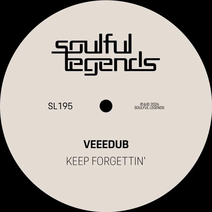 Veeedub - Keep Forgettin' cover art