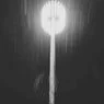 Cover Image for Elysian Fields Original Mix