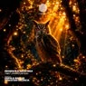 Cover Image for Tibet Extended Mix