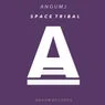 Cover Image for Space Tribal Original Mix