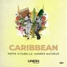 Cover Image for CARIBBEAN Extended Mix