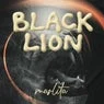 Cover Image for Blacklion Extended Mix