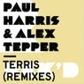 Cover Image for Terris Len Faki DJ Edit