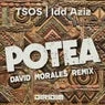 Cover Image for POTEA David Morales Remix