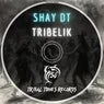 Cover Image for Tribelik Original Mix