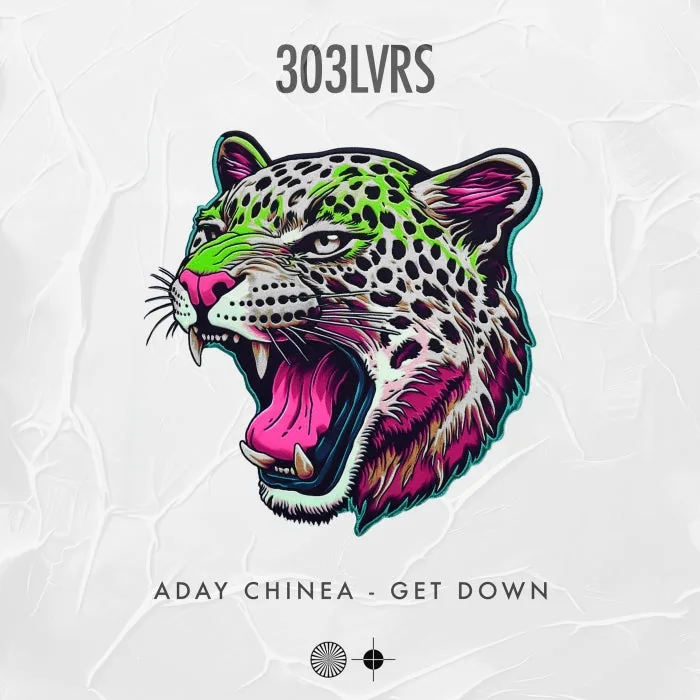 Aday Chinea - Get Down cover art