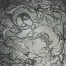 Cover Image for Lurevia Original Mix