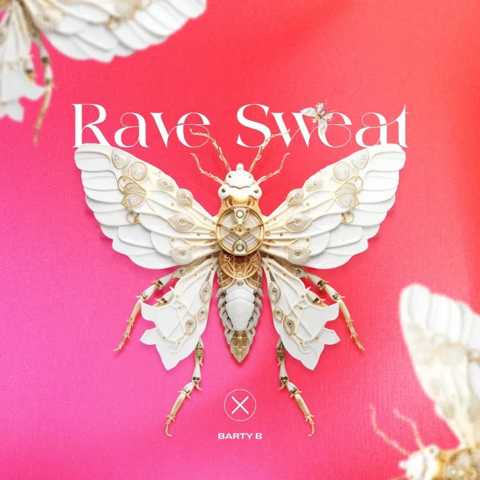 BARTY B - Rave Sweat cover art