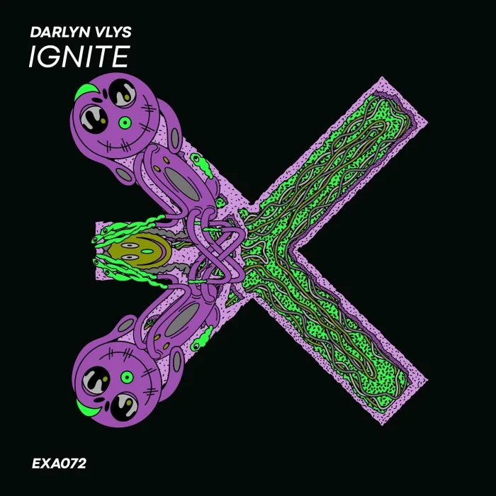 Darlyn Vlys - Ignite cover art