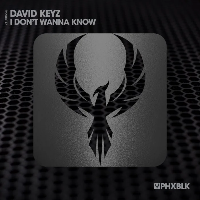 David Keyz - I Don't Wanna Know cover art