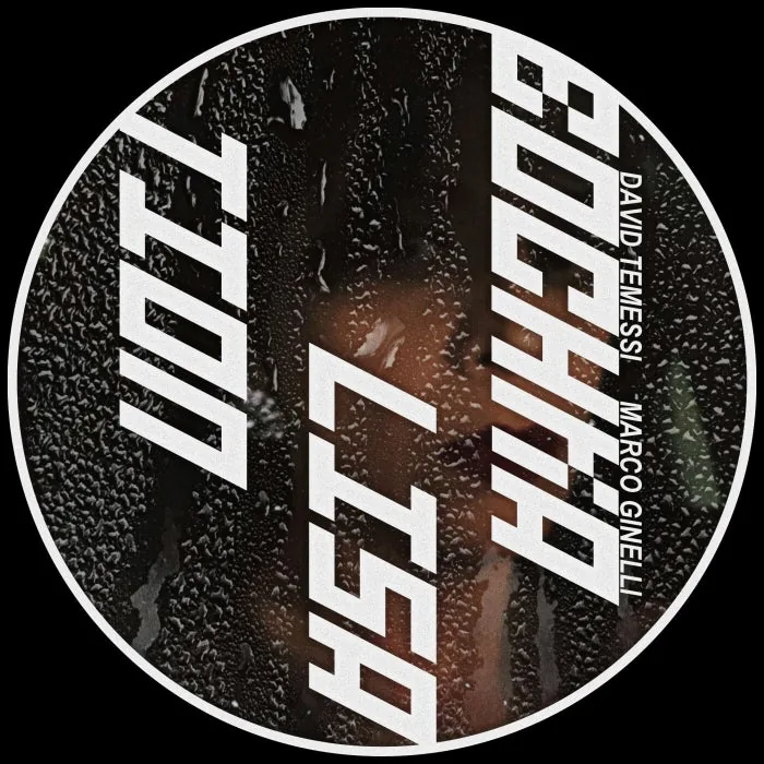 David Temessi, Marco Ginelli - BOCHKALIZATION cover art