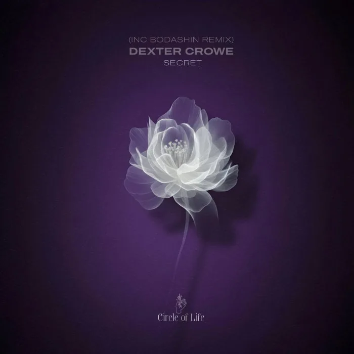 Dexter Crowe - Secret cover art