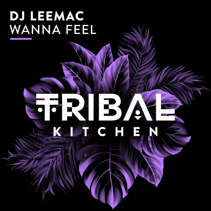 Dj LeeMac - Wanna Feel cover art