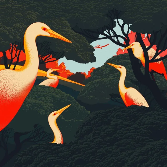 Ejeca - Glyder cover art