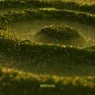 Cover Image for Kvasir Original Mix